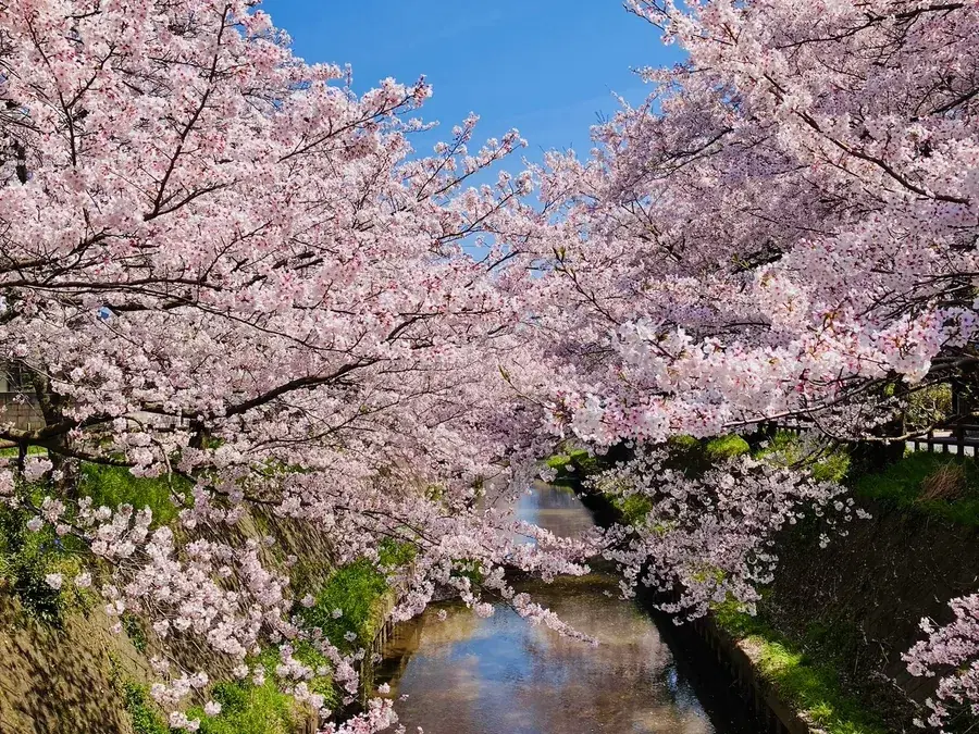 introduction image 1