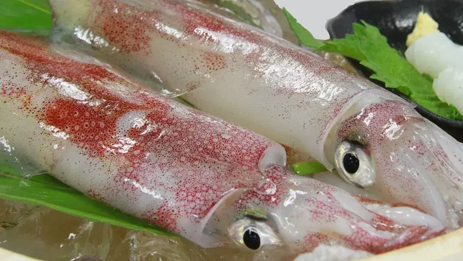 introduction image 11