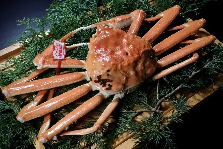 introduction image 12